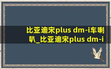 比亚迪宋plus dm-i车喇叭_比亚迪宋plus dm-i车机怎么升级